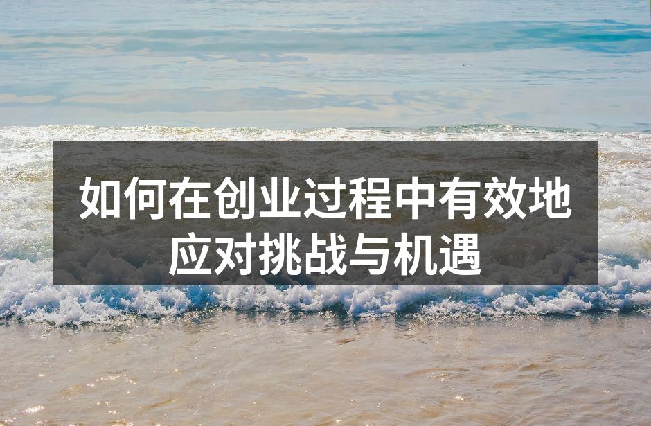 如何在创业过程中有效地应对挑战与机遇