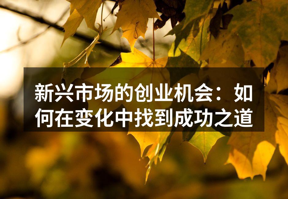 新兴市场的创业机会：如何在变化中找到成功之道